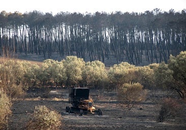 Baja a nivel 0 la situación operativa en Castilla y León tras mejorar la evolución de los incendios