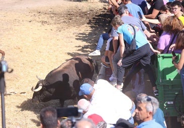 Así te hemos contado en directo el Toro de la Vega