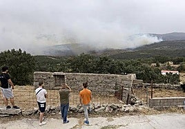 Se publica el formulario para acceder a la ayuda para reposición de vallados ganaderos dañados por los incendios