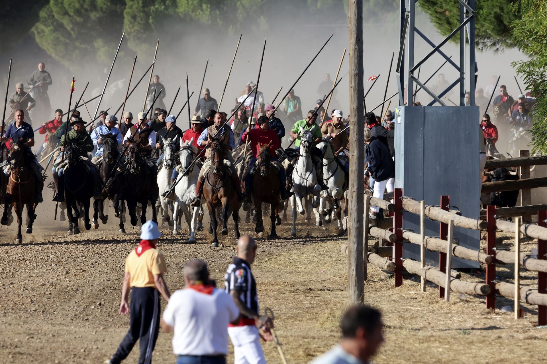 El encierro mixto de Tordesillas, en imágenes