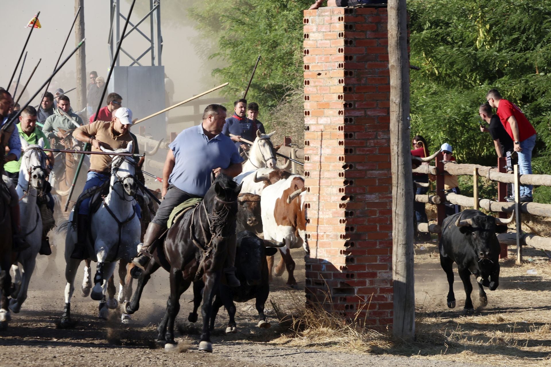 El encierro mixto de Tordesillas, en imágenes