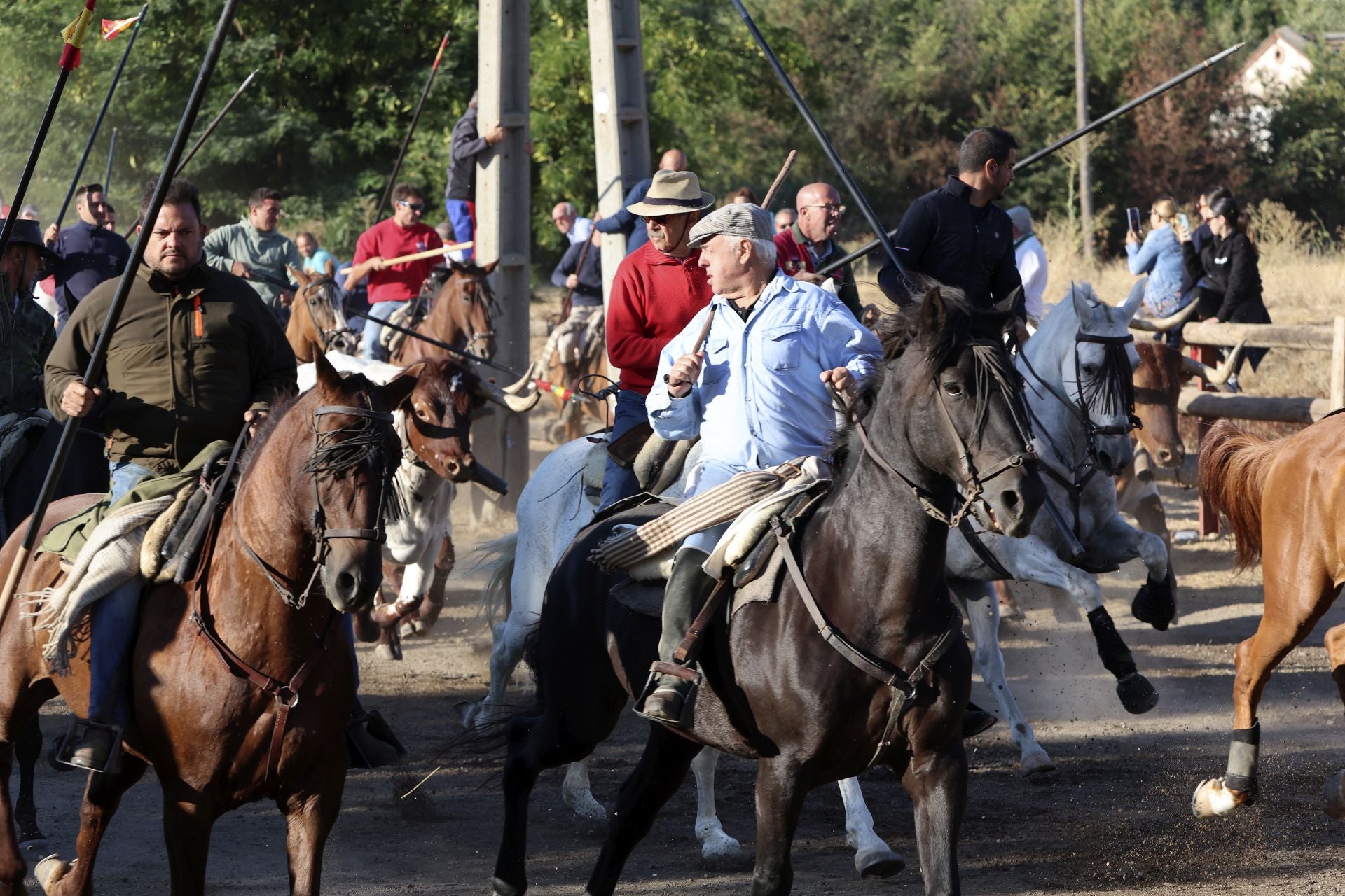 El encierro mixto de Tordesillas, en imágenes