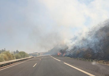 Un incendio en un pueblo de León obliga a cortar la vía de tren hacia Ponferrada