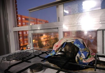 Olvida una cazuela al fuego porque se asustó «por una notificación de Hacienda» y moviliza a los bomberos