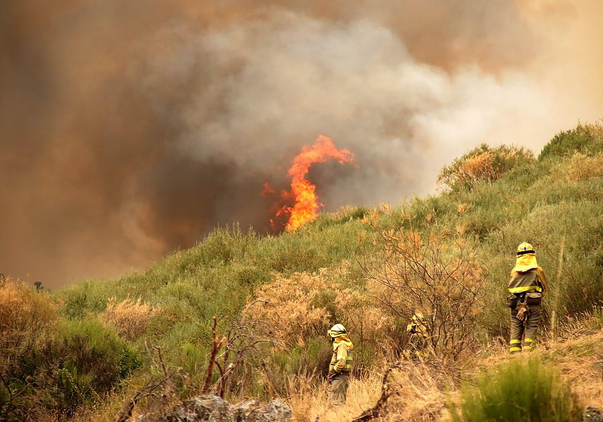Incendio en Fasgar, León, hace justo un mes.