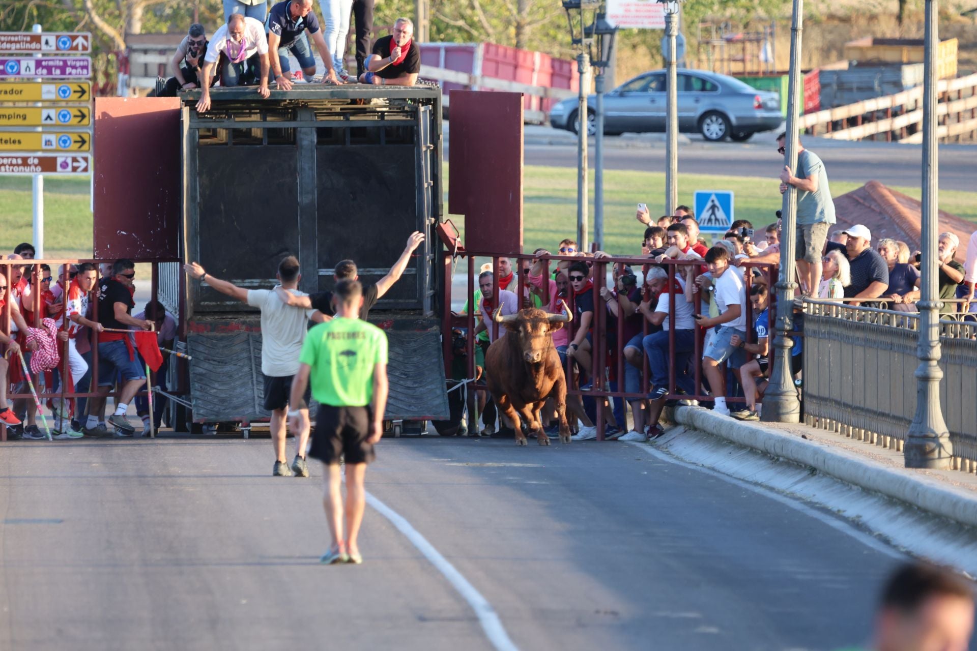 Las imágenes de los toros de cajón en Tordesillas