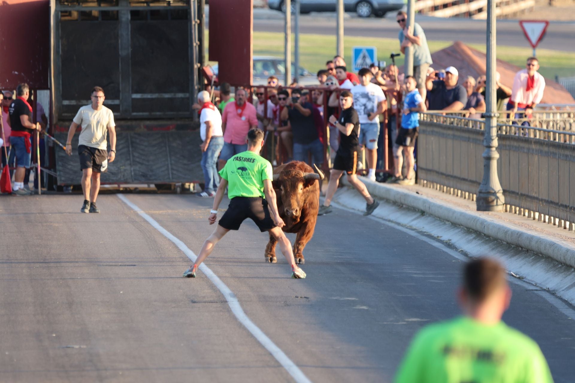 Las imágenes de los toros de cajón en Tordesillas