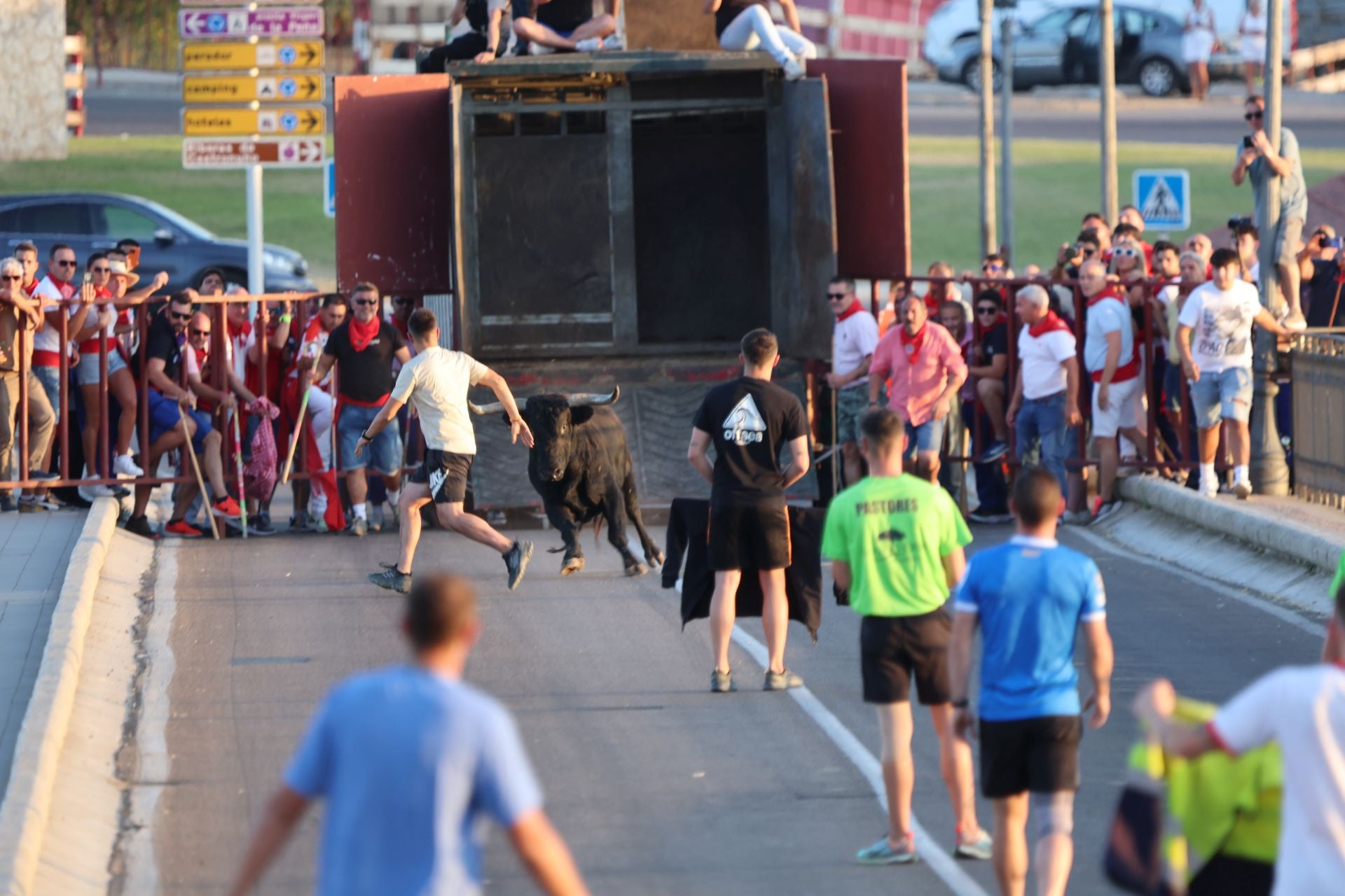Las imágenes de los toros de cajón en Tordesillas
