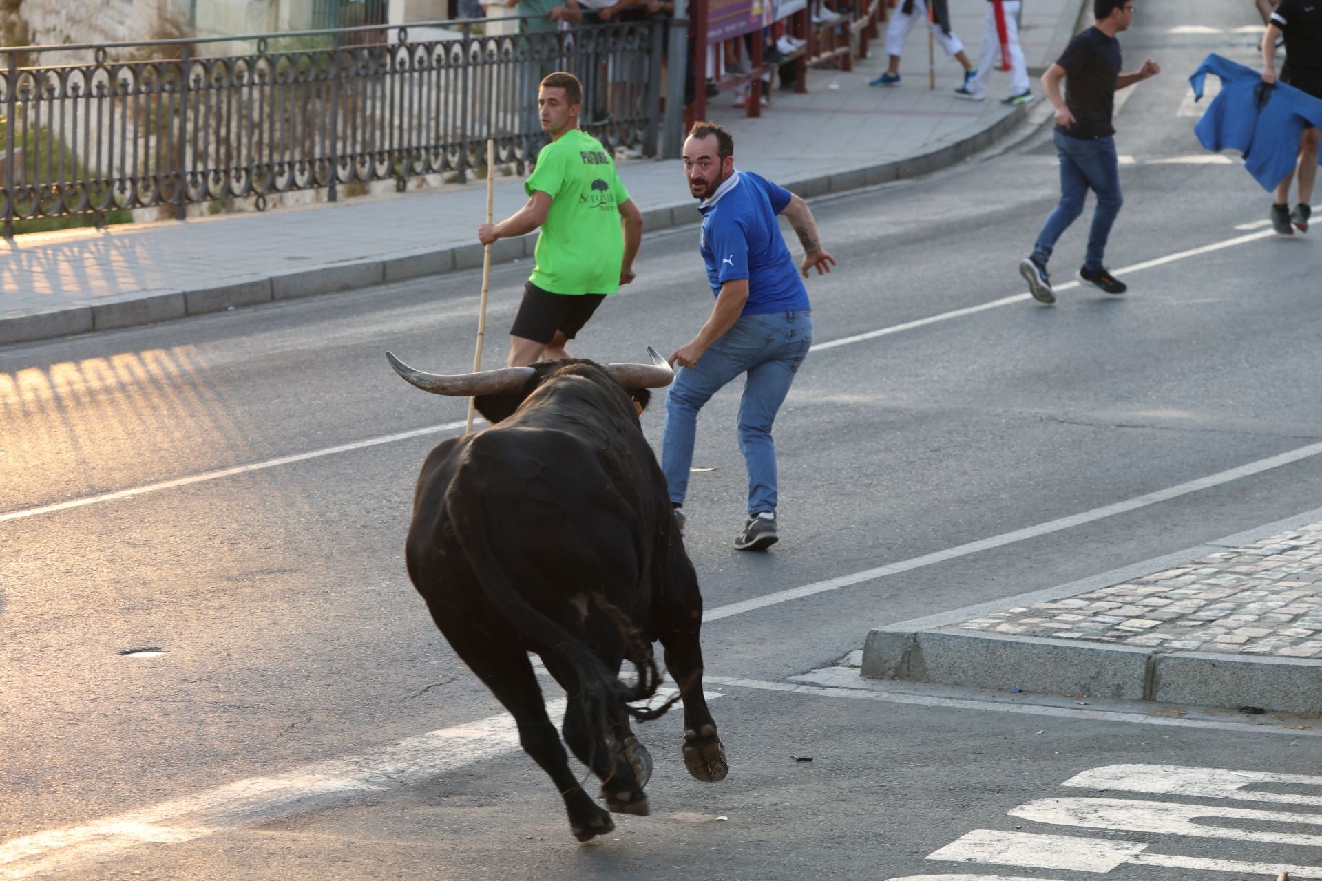 Las imágenes de los toros de cajón en Tordesillas