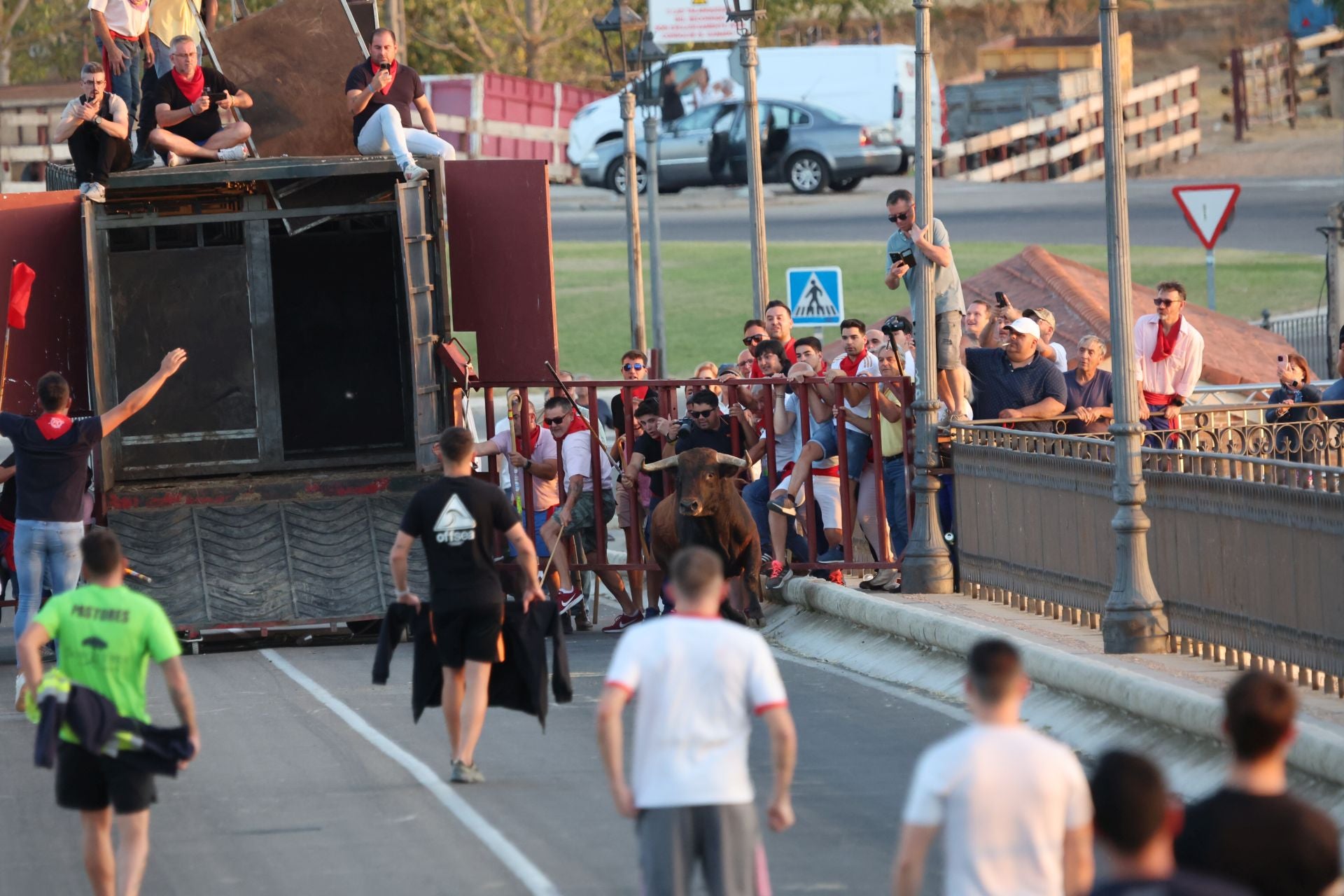 Las imágenes de los toros de cajón en Tordesillas