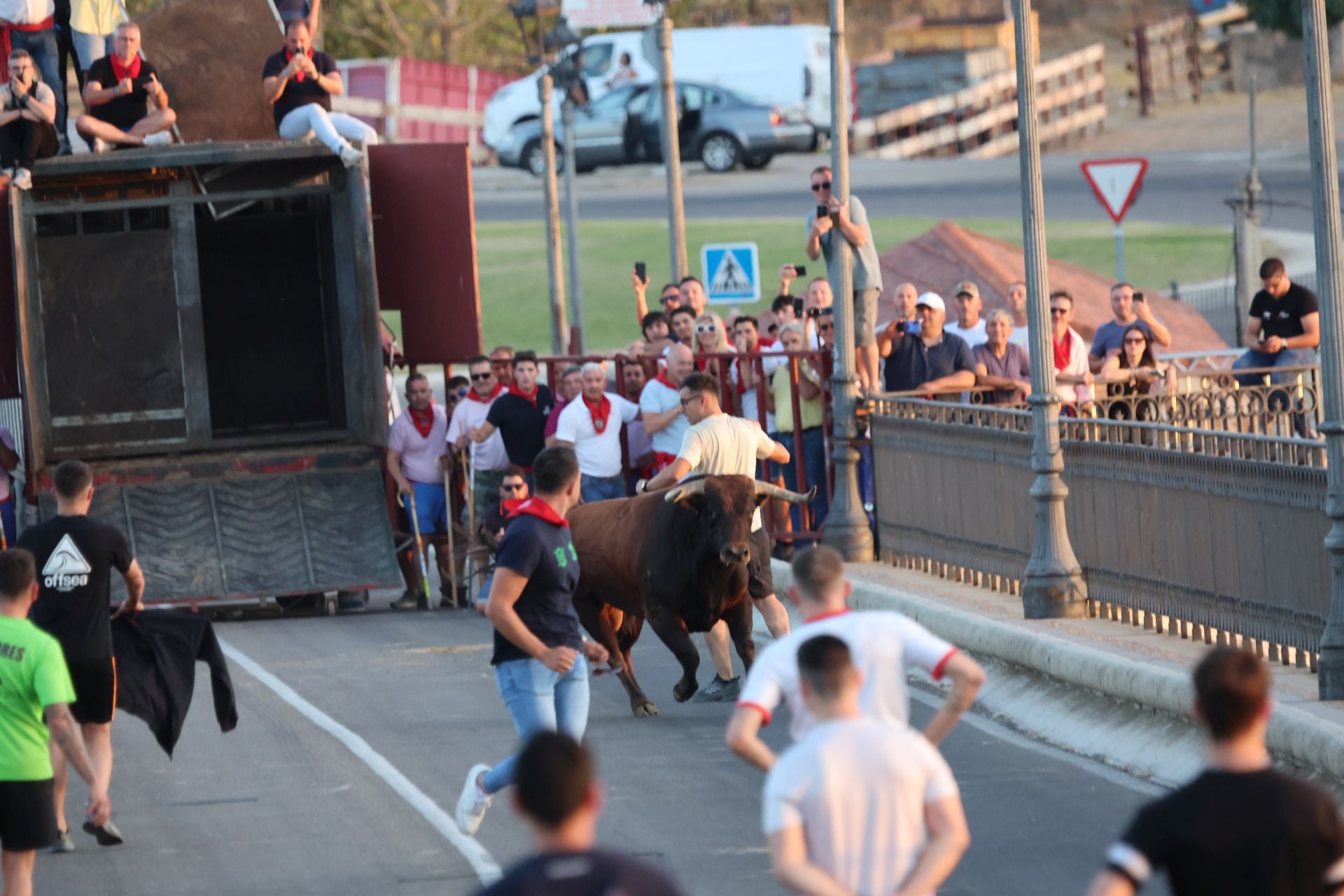 Las imágenes de los toros de cajón en Tordesillas