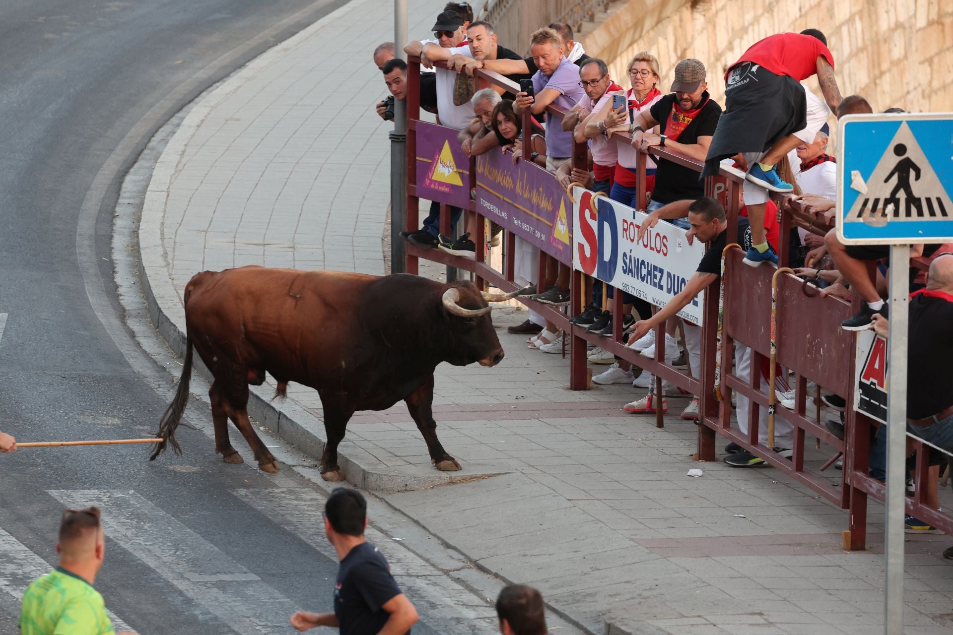 Las imágenes de los toros de cajón en Tordesillas