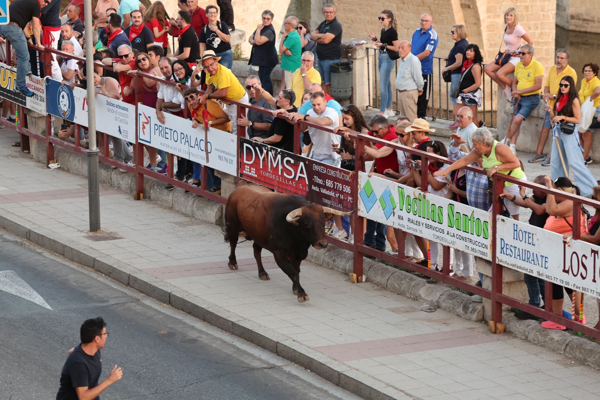 Las imágenes de los toros de cajón en Tordesillas