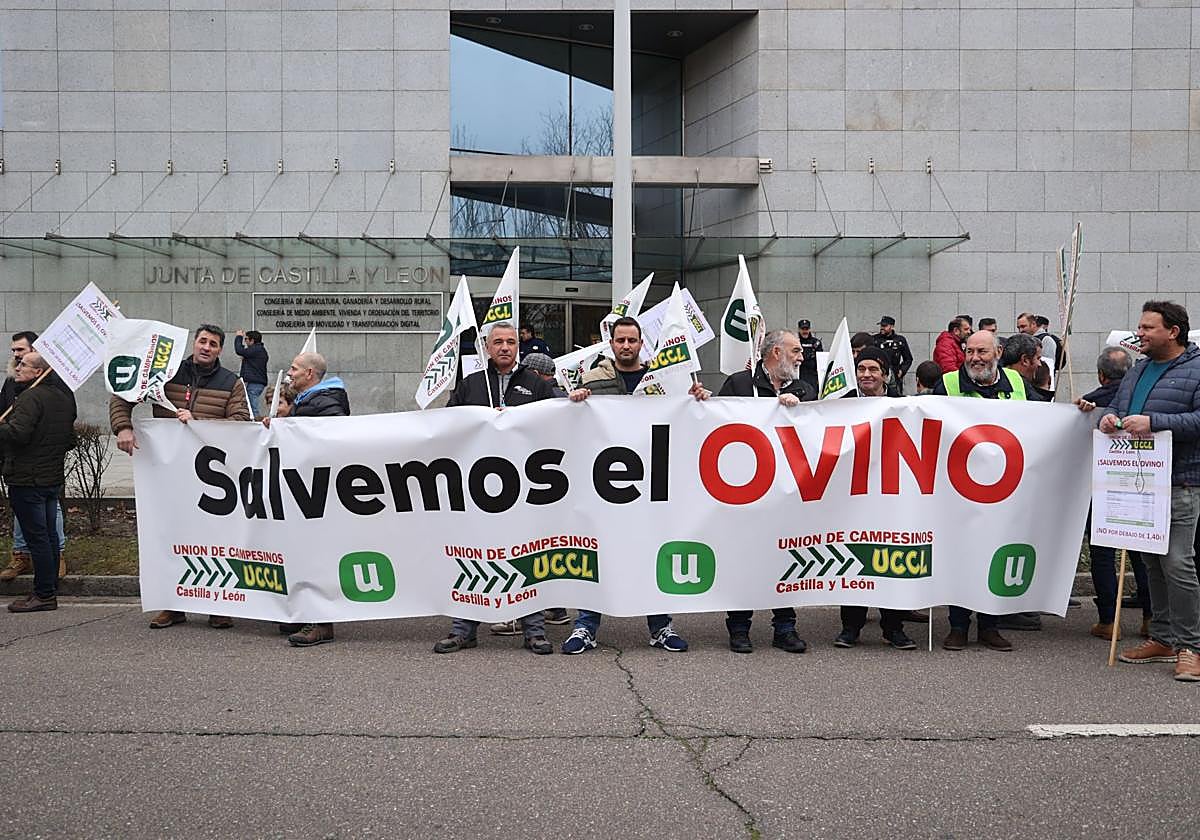 Movilización en defensa del sector ovino el pasado febrero.