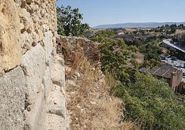 Maleza y suciedad en una de las repisas de la muralla de Segovia.