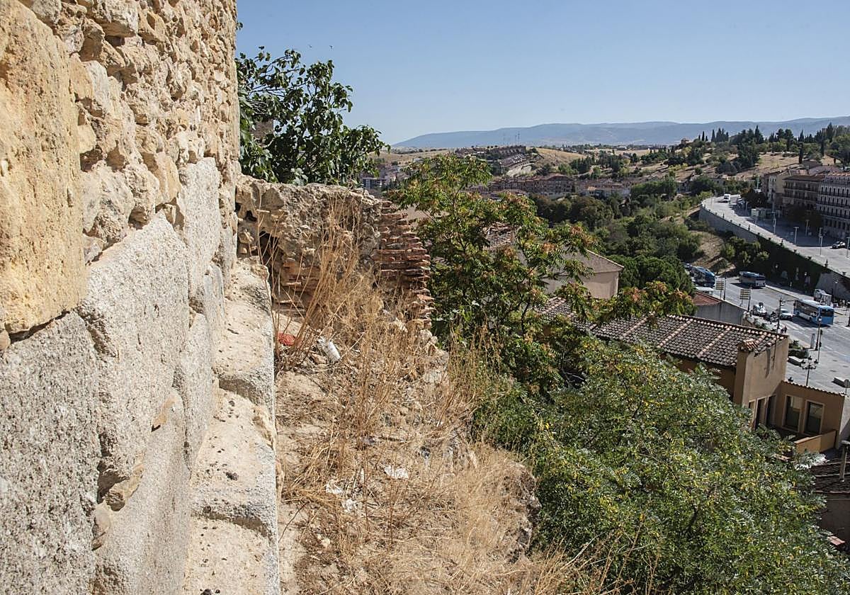 Maleza y suciedad en una de las repisas de la muralla de Segovia.