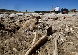 Yacimiento arqueológico Las Calaveras de Renedo de Esgueva, a finales del pasado mes de agosto.