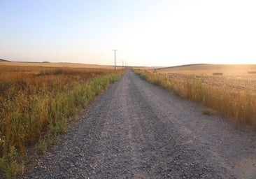 El cuñado del muerto en el accidente laboral de Adalia conducía el tractor que causó el siniestro