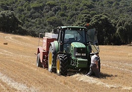 Un tractor transporta pacas de paja tras cosechar una tierra.