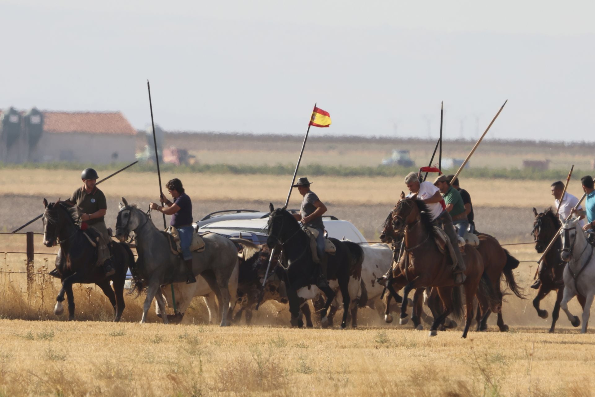 Las imágenes del encierro en Madrigal de las Altas Torres