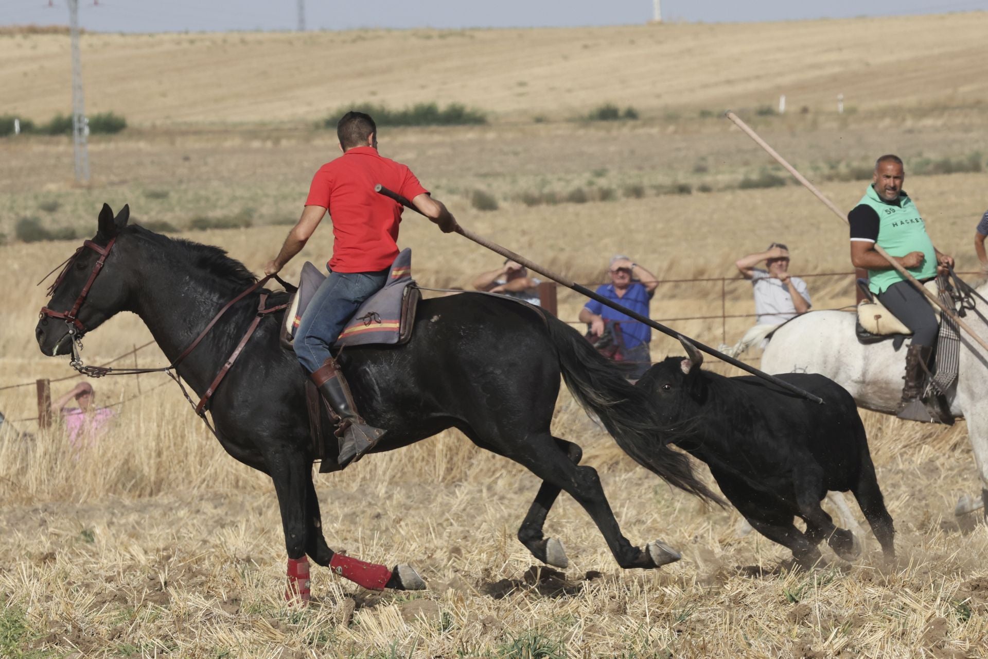 Las imágenes del encierro en Madrigal de las Altas Torres