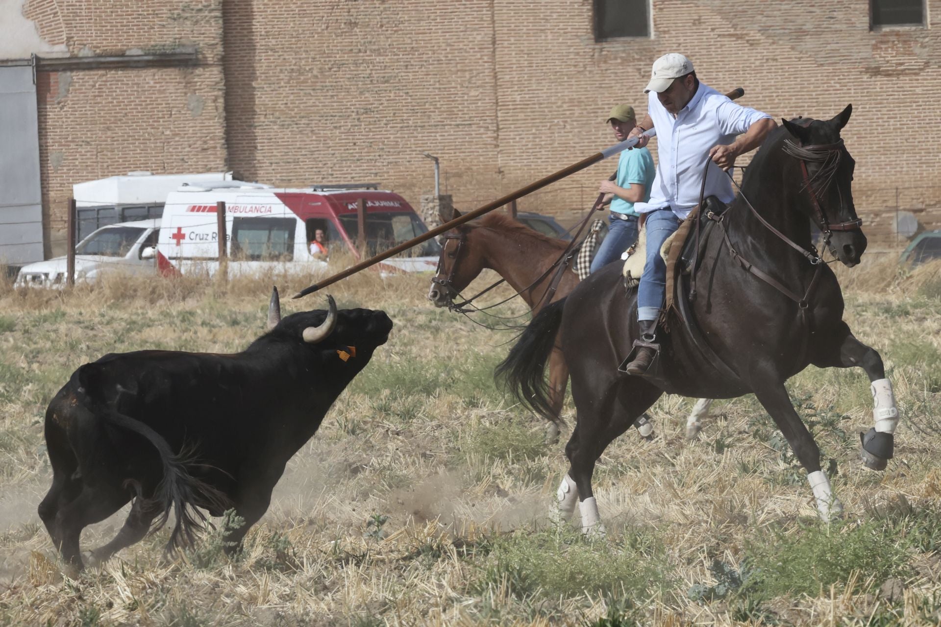 Las imágenes del encierro en Madrigal de las Altas Torres
