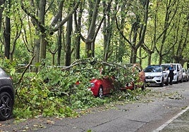 Coches dañados por los árboles caídos en la tarde del viernes en el paseo del Cid tras la tromba de agua.