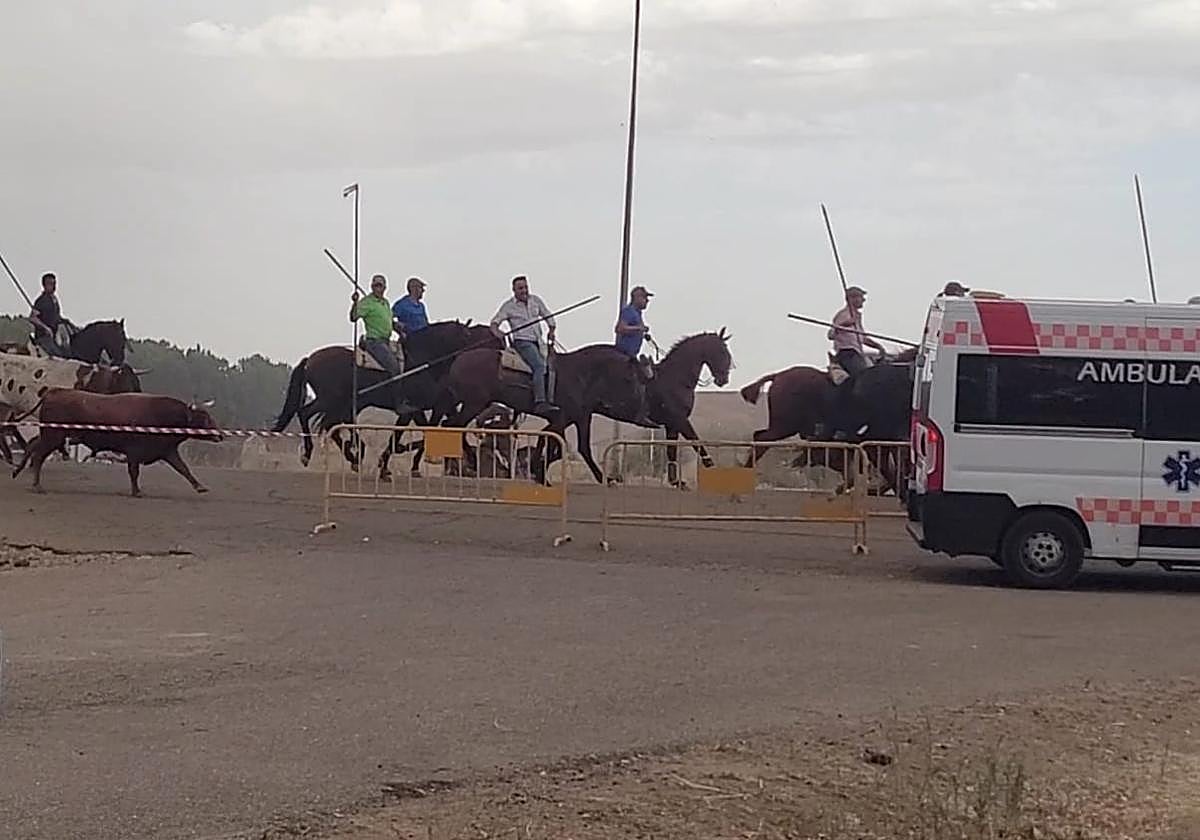 El encierro se estaba desarrollando por el campo en Mayorga.