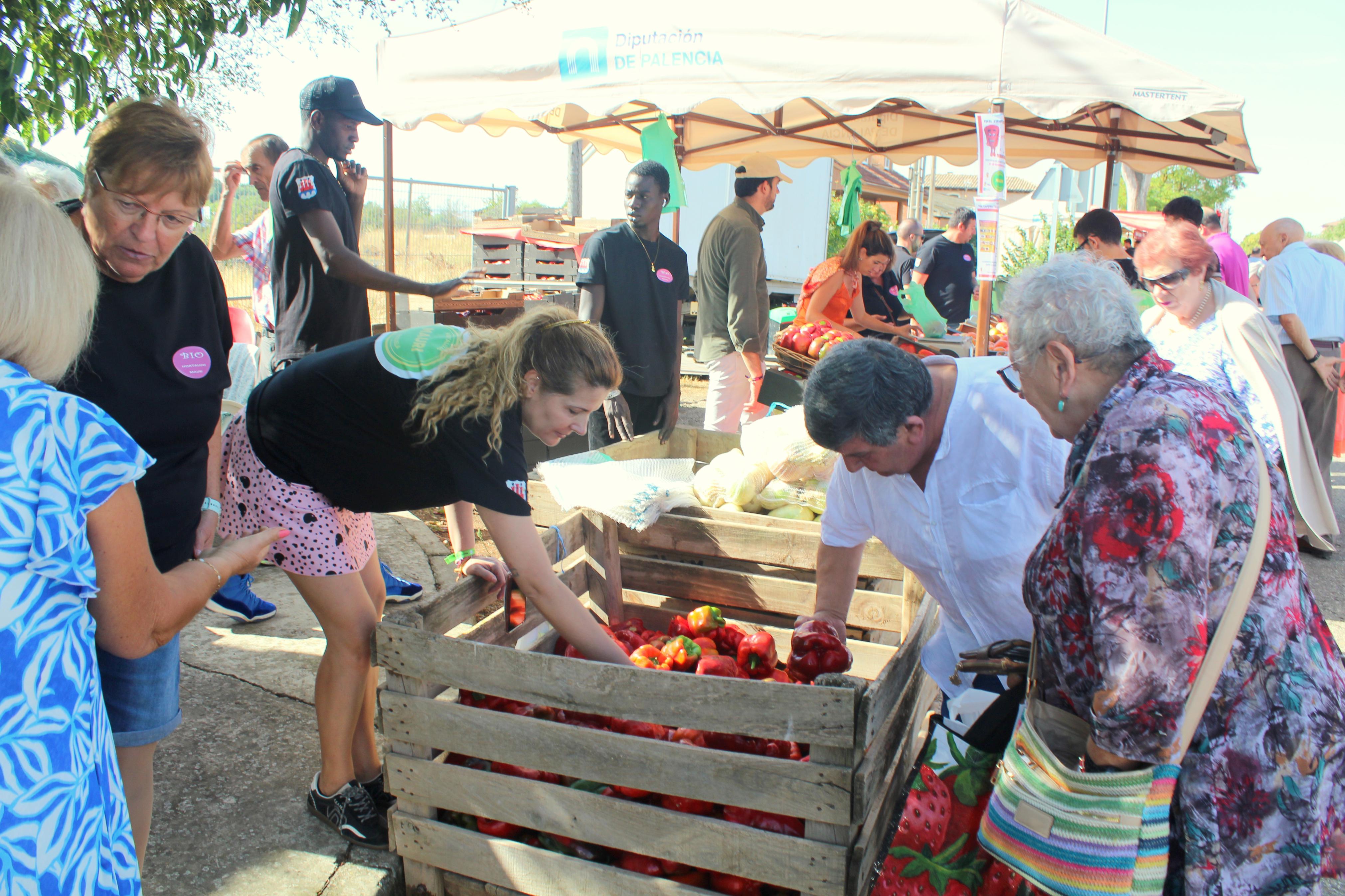 XXXI Feria del Pimiento de Torquemada