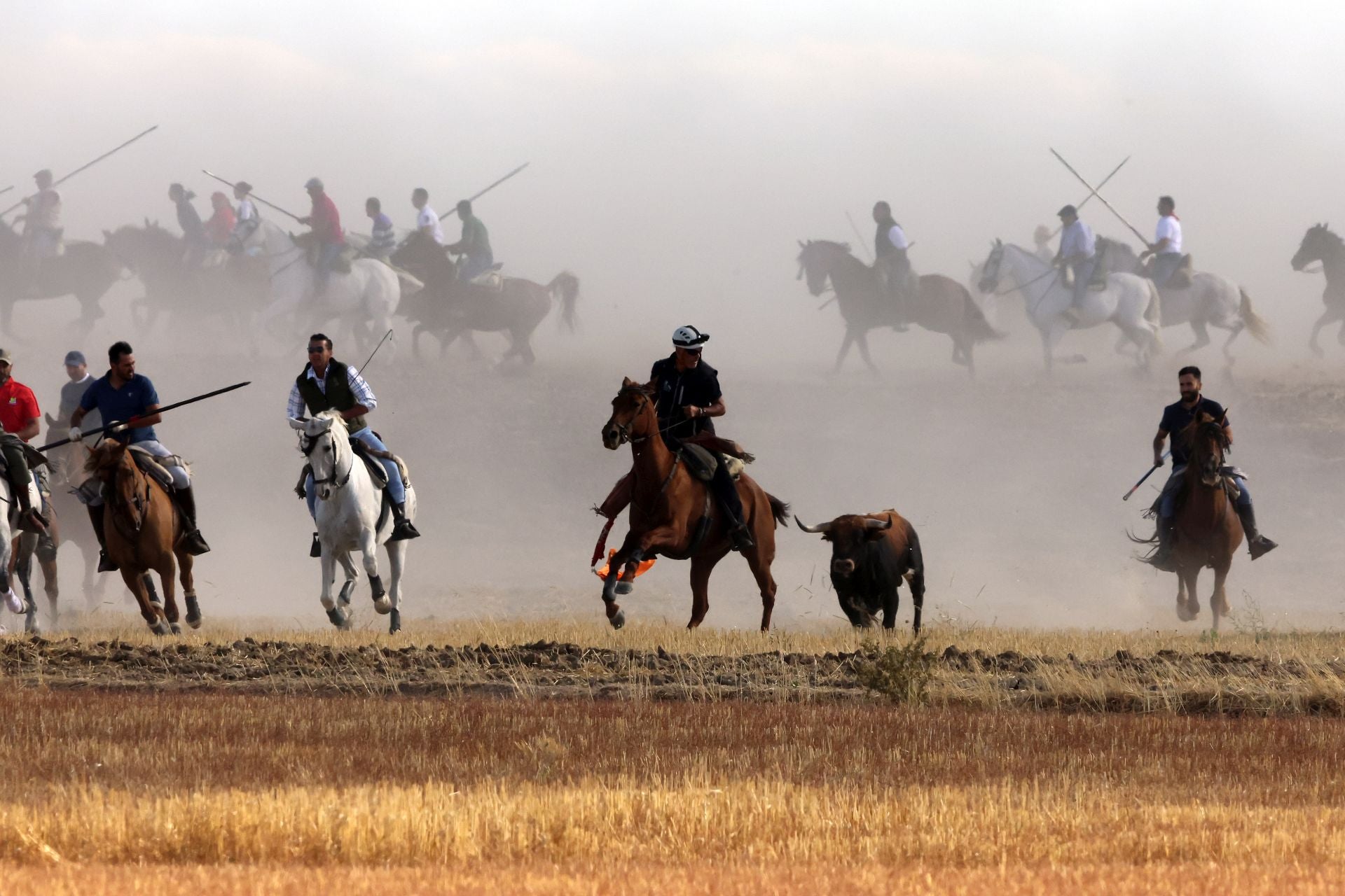 Las imágenes del encierro de Madrigal de las Altas Torres
