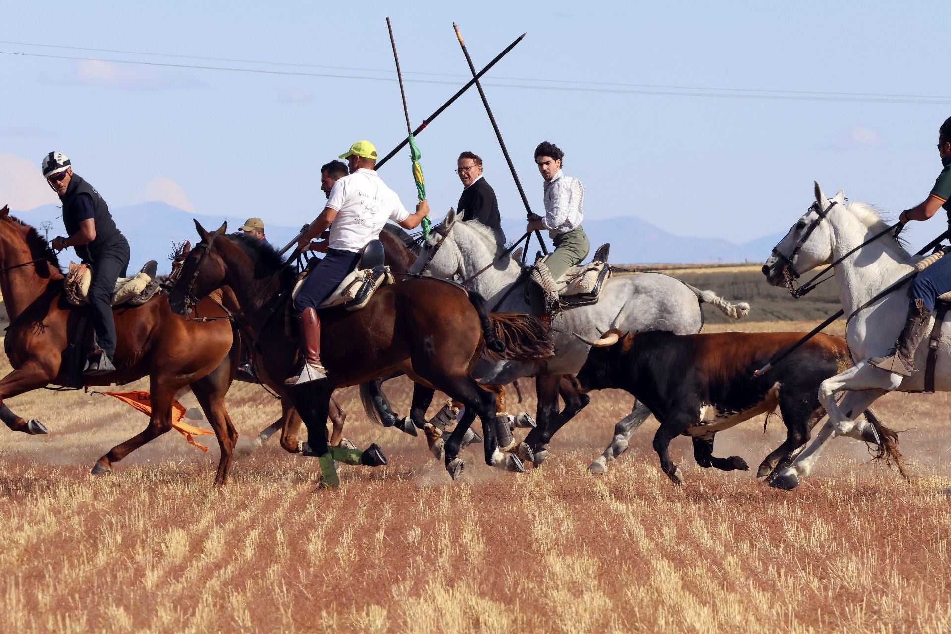 Las imágenes del encierro de Madrigal de las Altas Torres