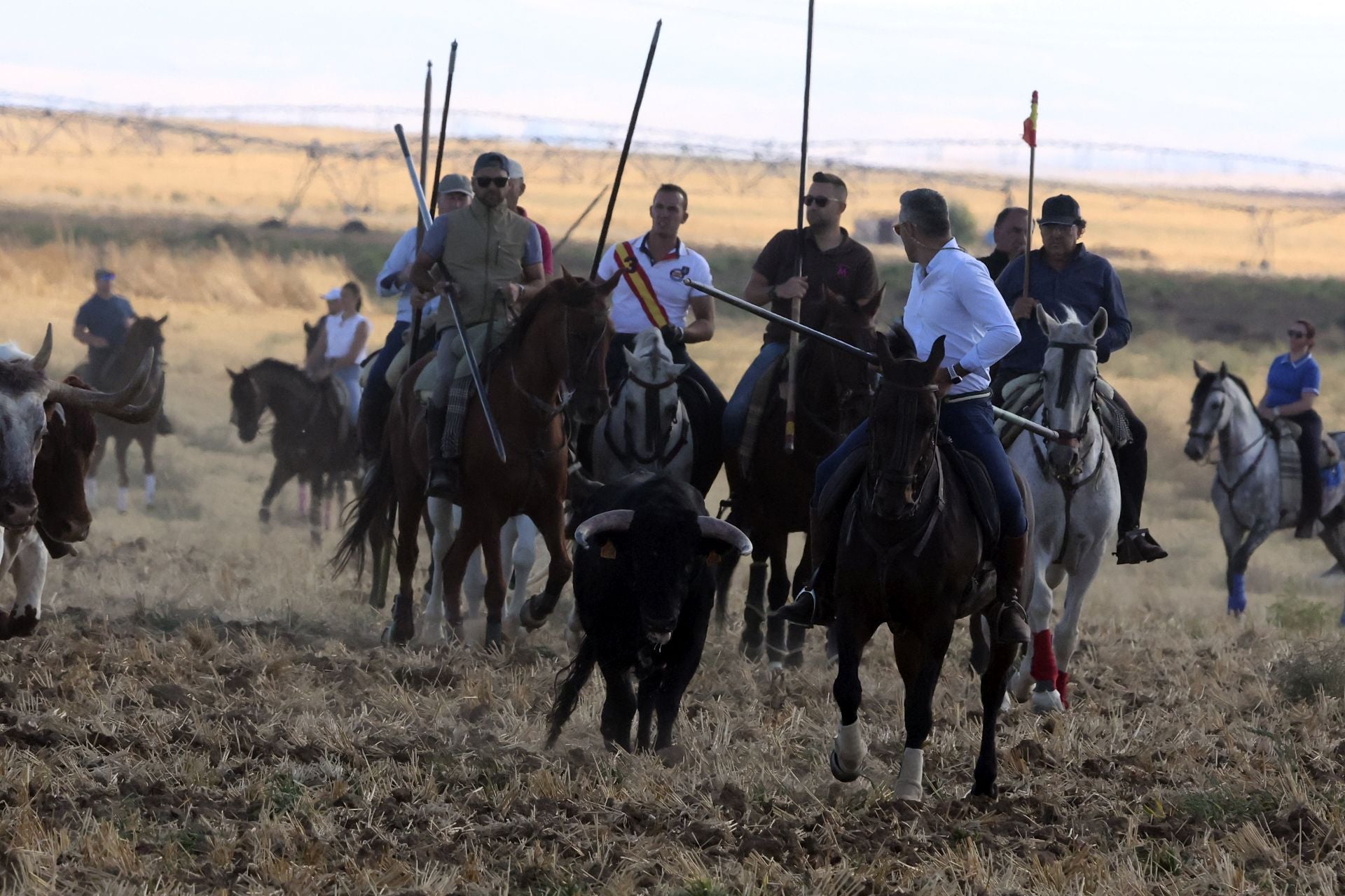Las imágenes del encierro de Madrigal de las Altas Torres