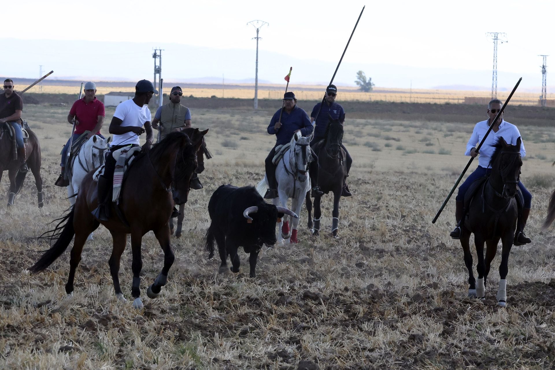 Las imágenes del encierro de Madrigal de las Altas Torres