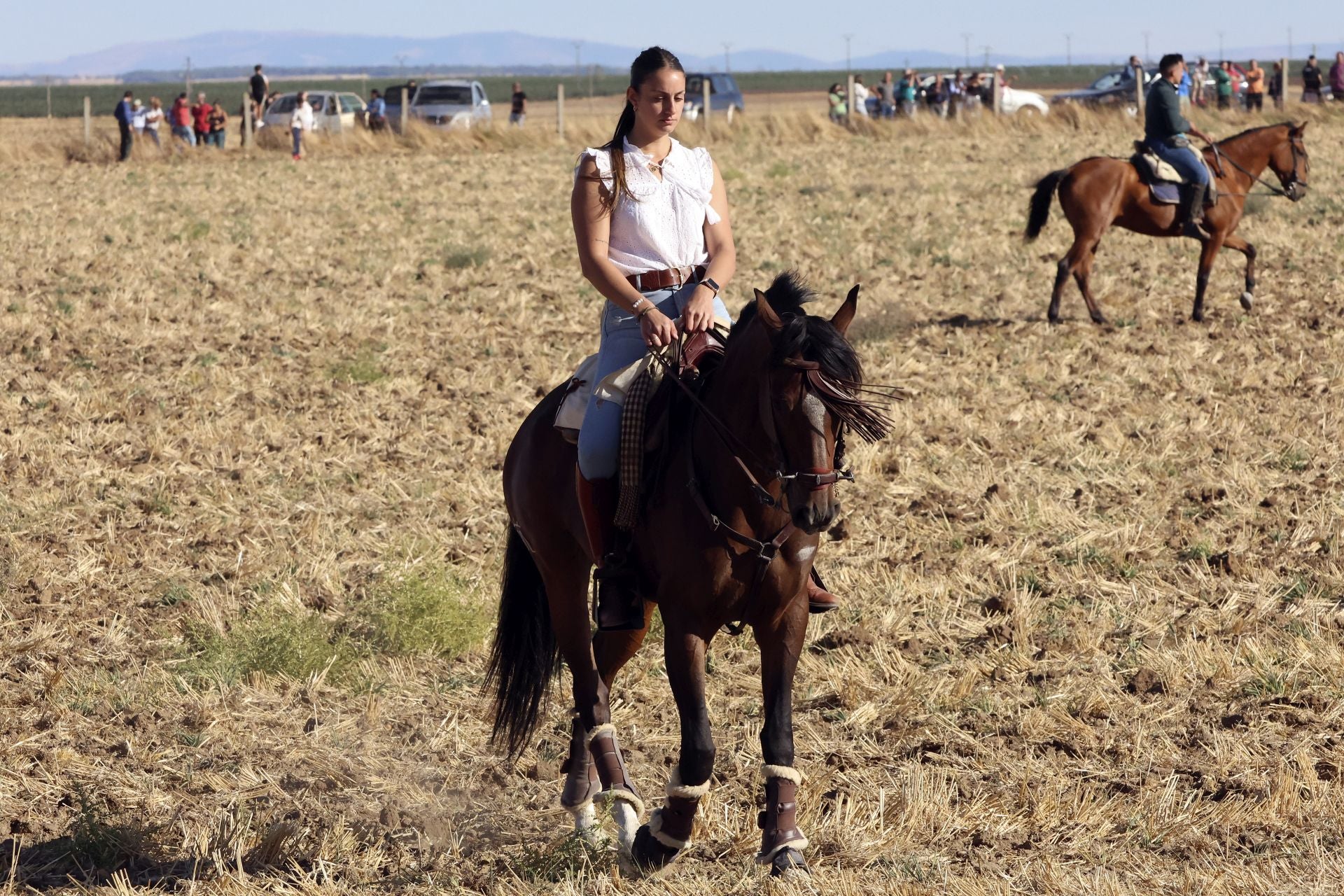 Las imágenes del encierro de Madrigal de las Altas Torres