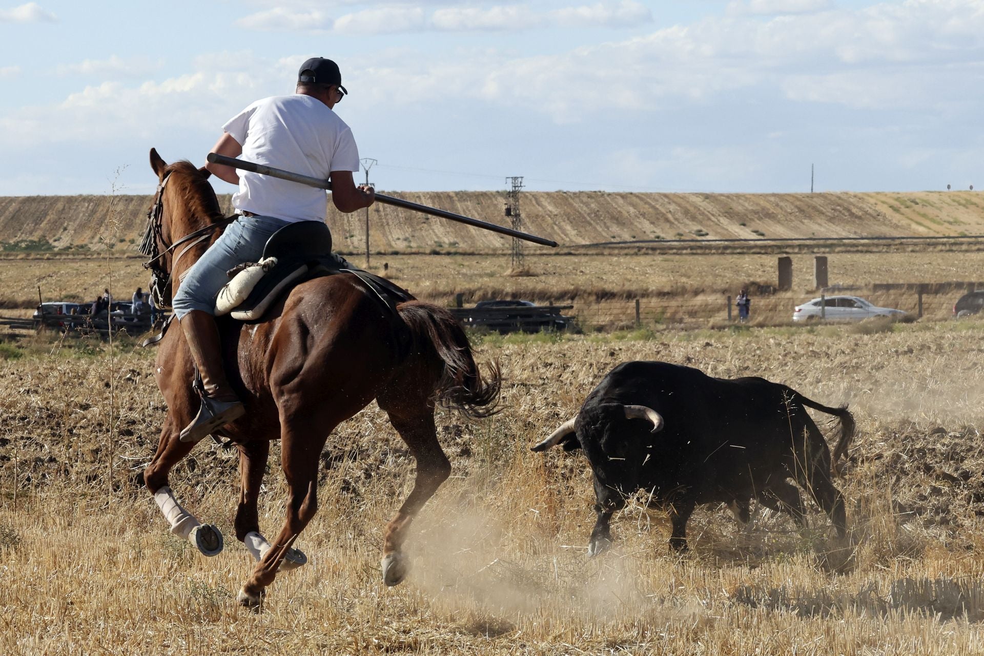 Las imágenes del encierro de Madrigal de las Altas Torres