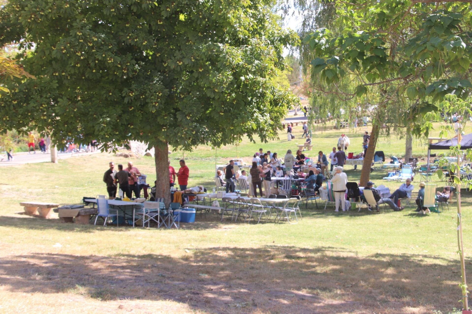Fotos de la romería del Henar