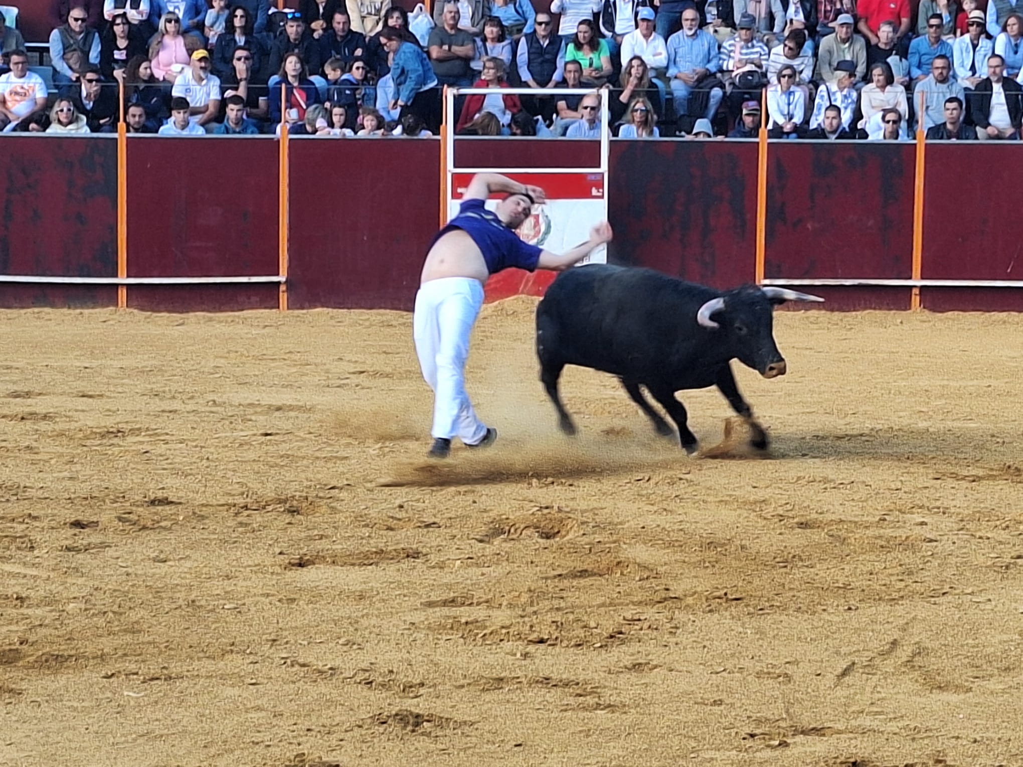 Los saltos de Christian Peñas ganan el concurso de cortes de Mayorga