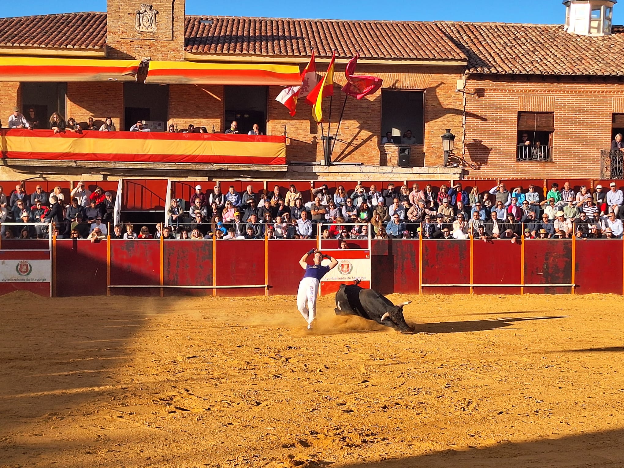 Los saltos de Christian Peñas ganan el concurso de cortes de Mayorga