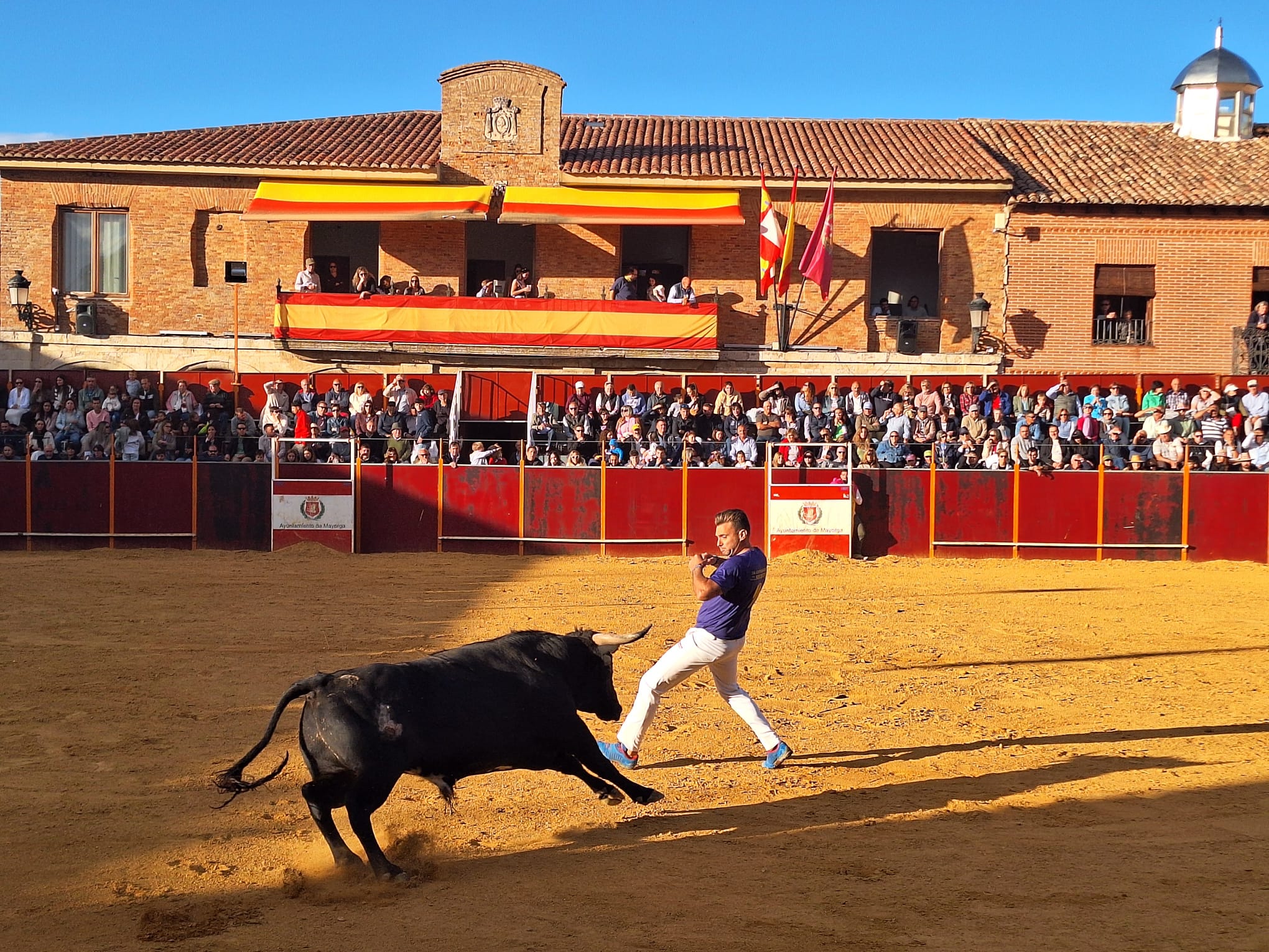 Los saltos de Christian Peñas ganan el concurso de cortes de Mayorga