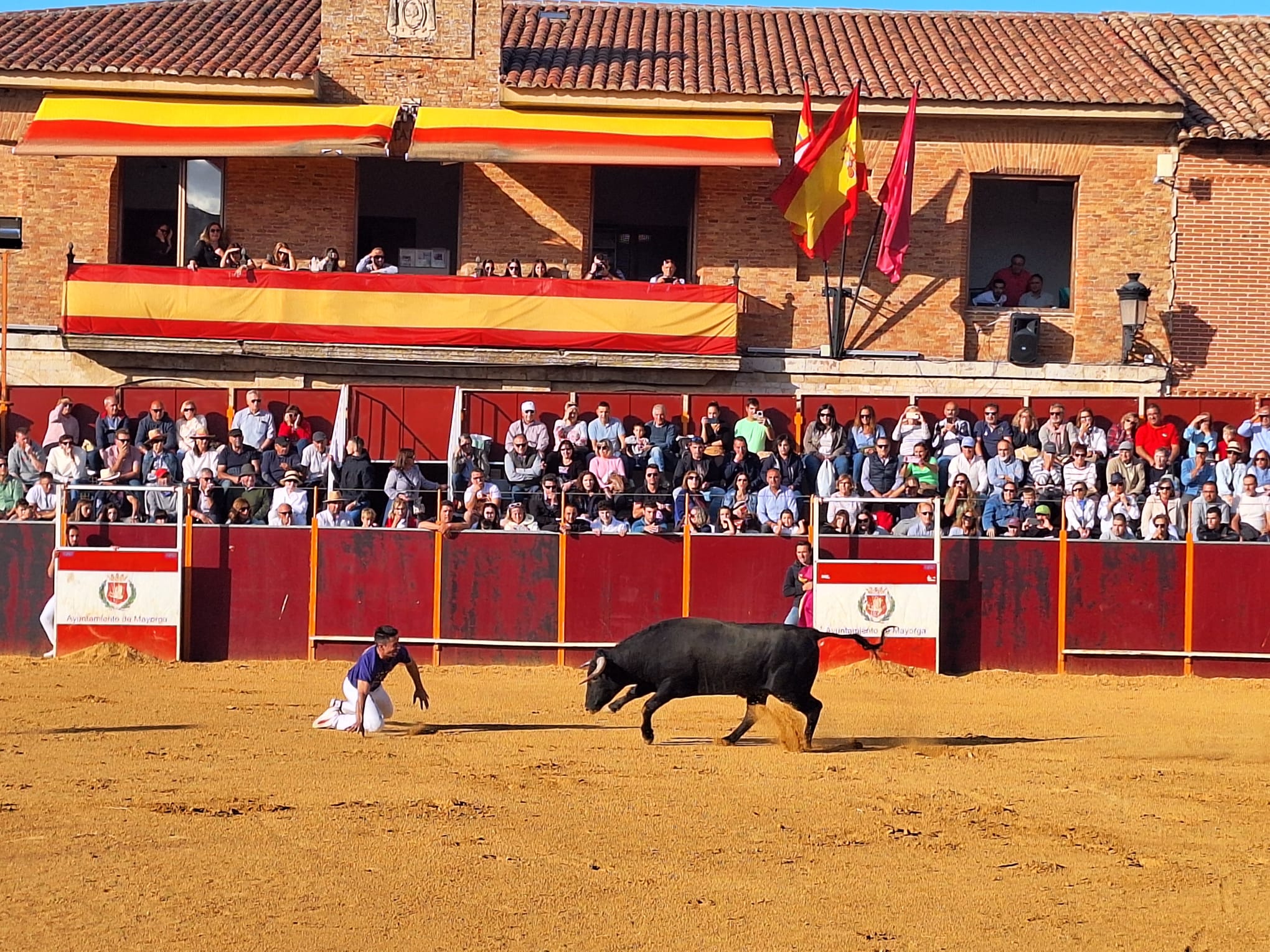 Los saltos de Christian Peñas ganan el concurso de cortes de Mayorga