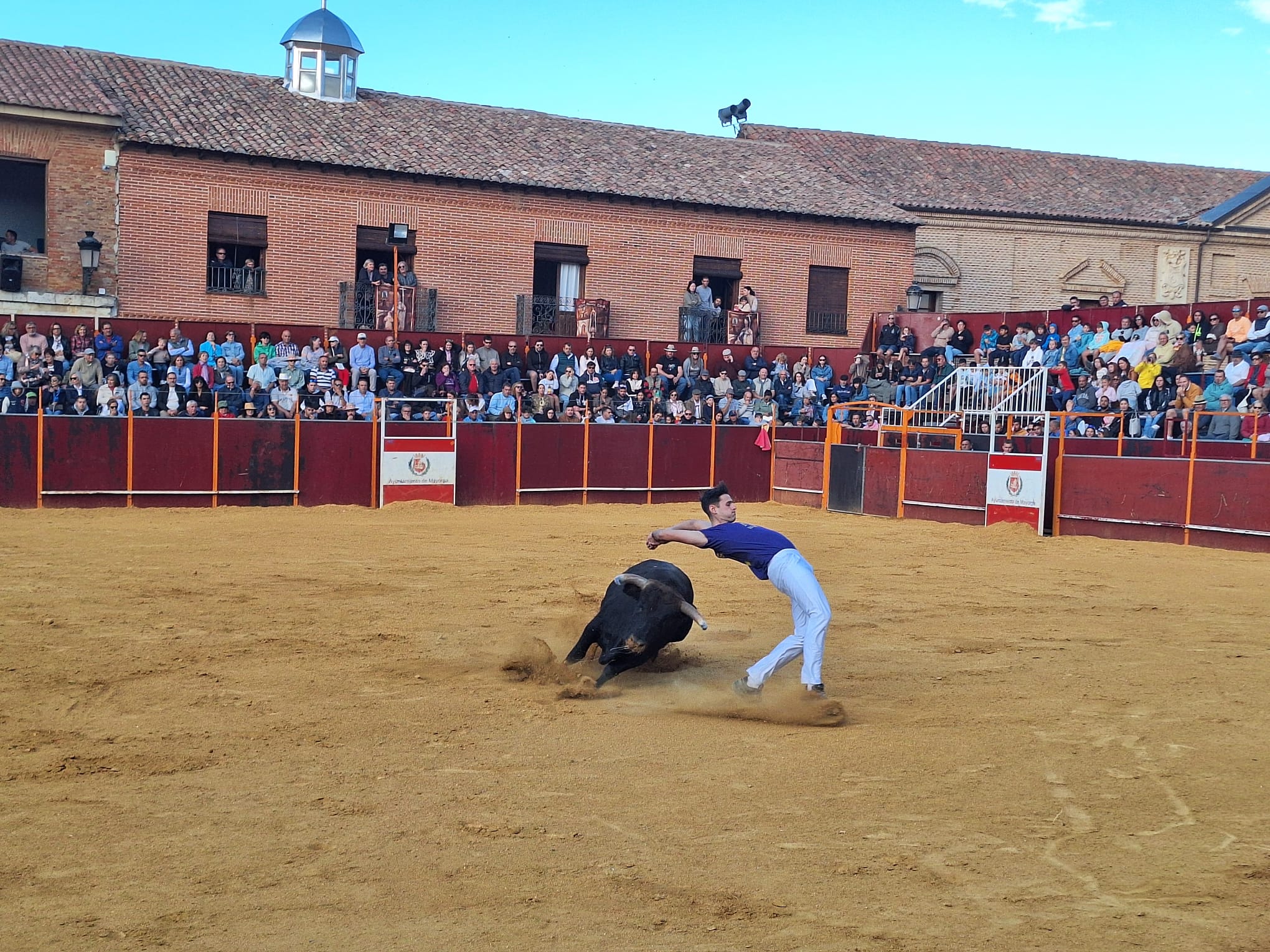Los saltos de Christian Peñas ganan el concurso de cortes de Mayorga
