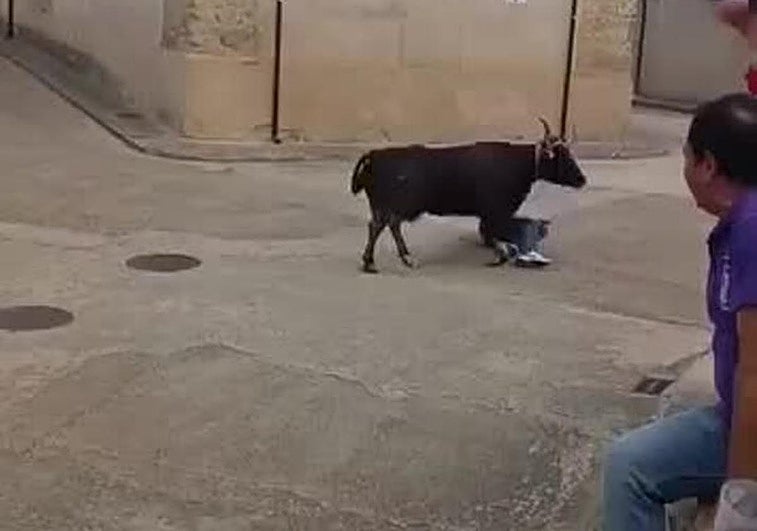 Un momento de la cogida en Palazuelo de Vedija.