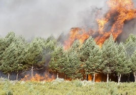 Incendio en Castromil este verano.