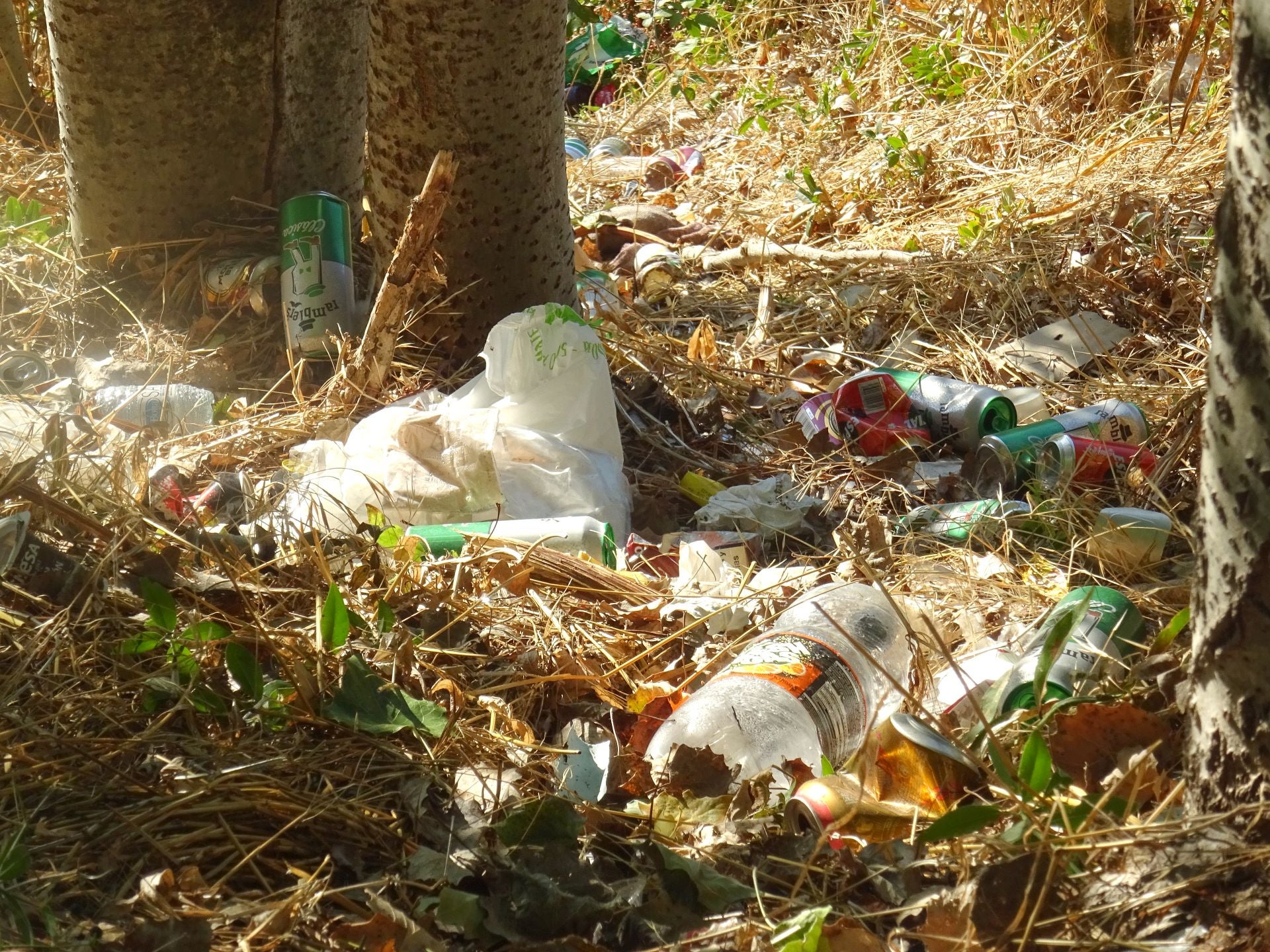 Las imágenes de la basura del Pisuerga