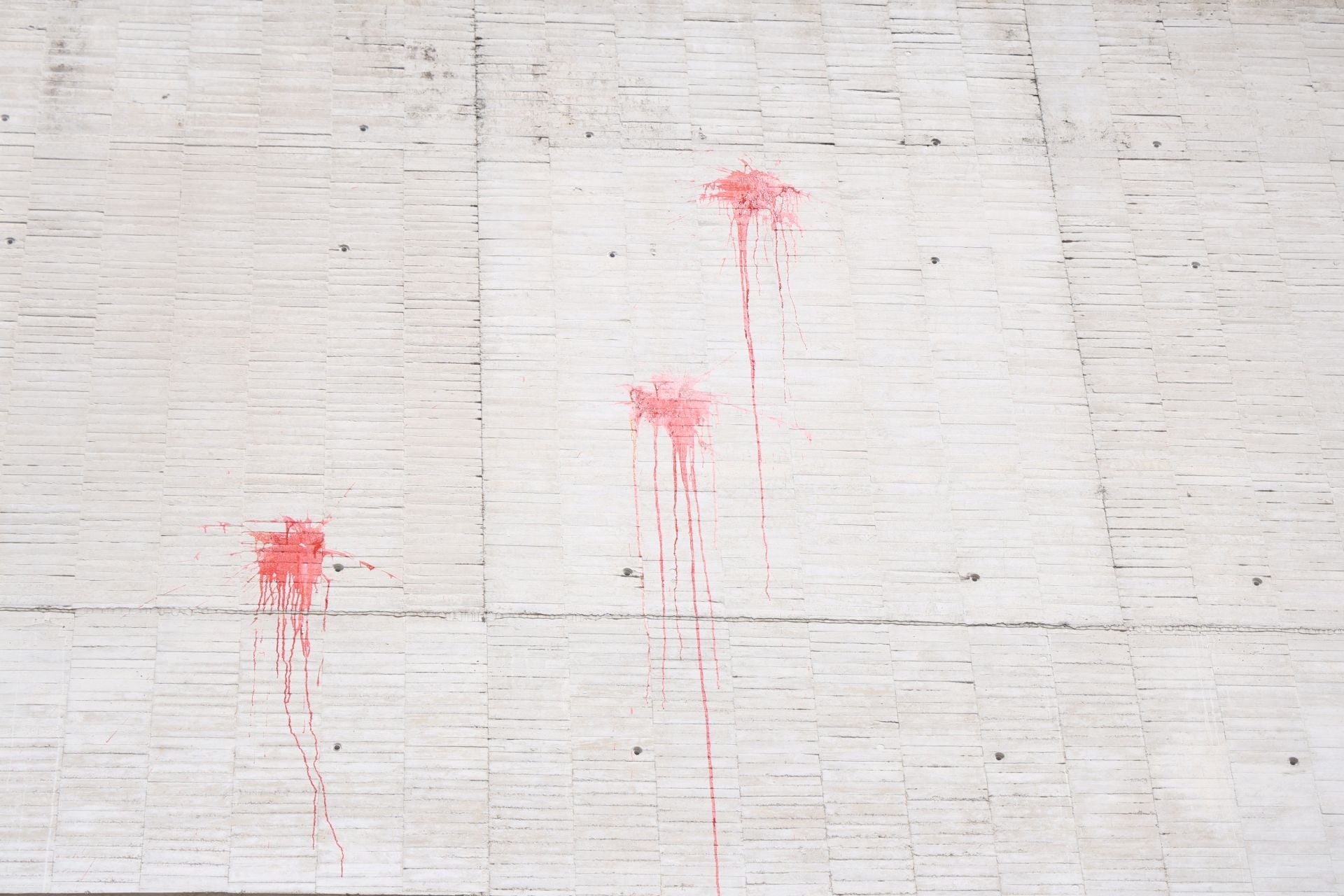 Las imágenes de la protesta de bomberos y forestales en Valladolid