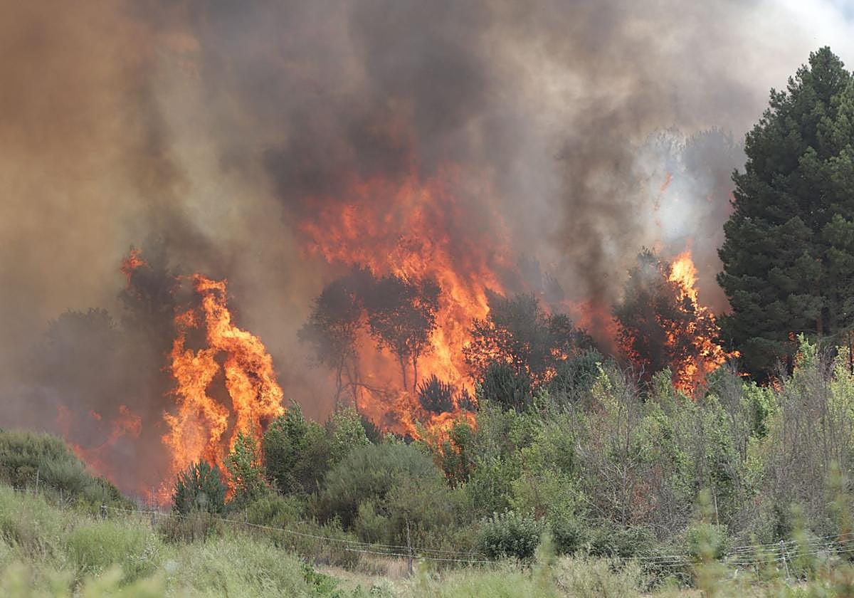 Monte ardiendo en la provincia de Zamora el pasado mes de agosto.