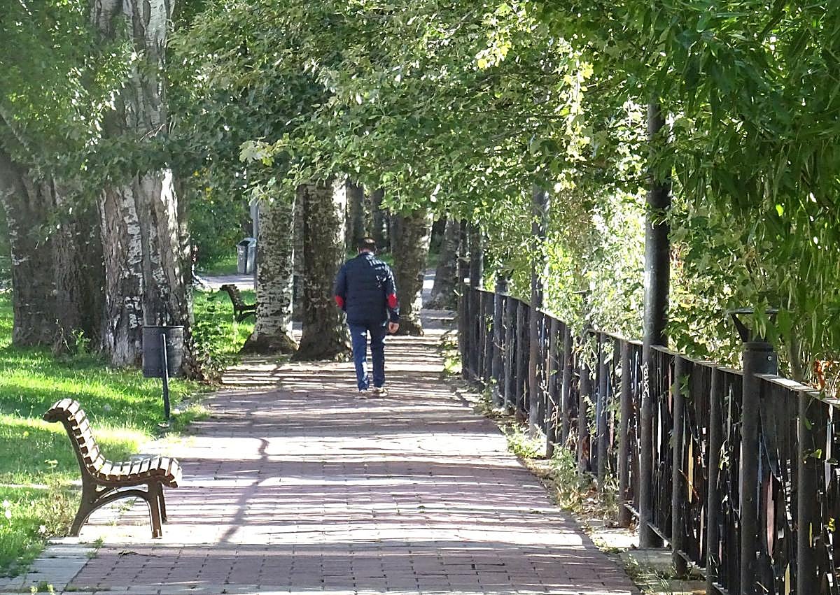 Imagen secundaria 1 - Latas de cerveza tiradas en diferente puntos de la ribera del río en el paseo de Extremadura y la acera, con los bancos, del propio paseo.