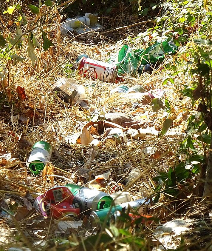 Imagen secundaria 2 - Latas de cerveza tiradas en diferente puntos de la ribera del río en el paseo de Extremadura y la acera, con los bancos, del propio paseo.