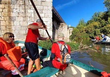 Adiós a dos toneladas de troncos y a la basura de los botellones de las fiestas en el Pisuerga