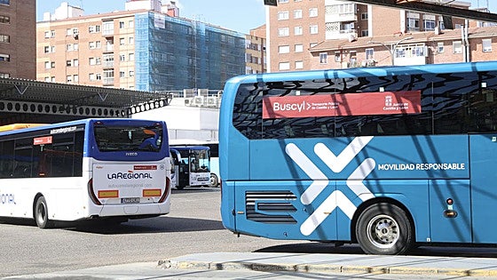 Viajes gratis en autobús en Castilla y León: consulta las 2.610 rutas de Buscyl disponibles desde este martes